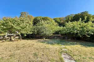 Rear Gardens- click for photo gallery